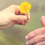 Sozialpraktikum der 10. Klasse