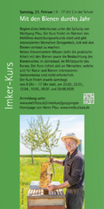 Mit den Bienen durchs Jahr @ in der Schule